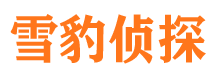 通江市侦探公司